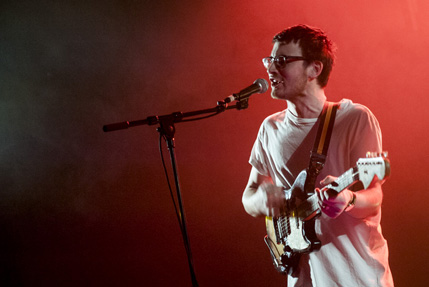 the wombats